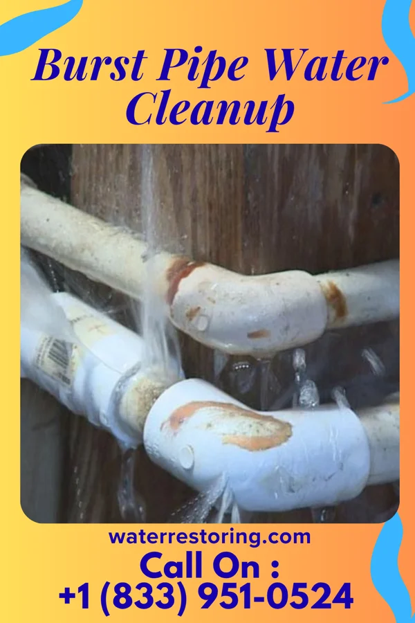 Burst Pipe Water Cleanup in New Eagle, PA