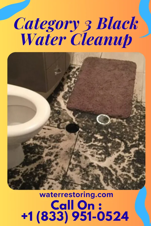 Category 3 Black Water Cleanup in New Eagle, PA
