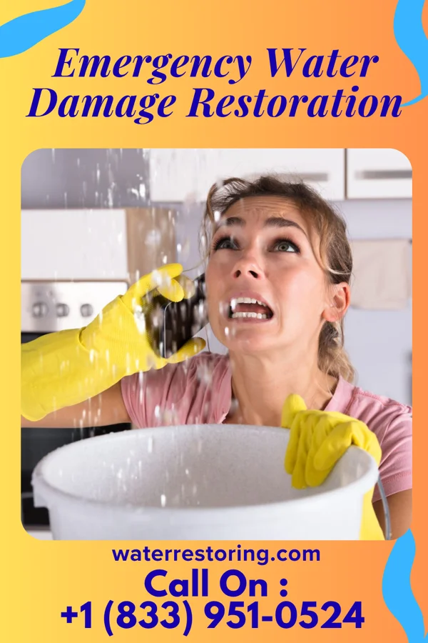 Emergency Water Damage Restoration in New Eagle, PA
