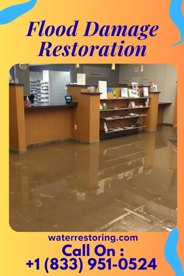 Flood Damage Restoration in New Eagle, PA