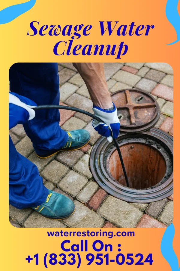 Sewage Water Cleanup in New Eagle, PA